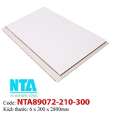 Tấm Ốp Tường NTA89072-210-300