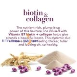 OGX, dầu gội chứa thành phần Biotin & Collagen