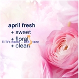 Downy, giấy thơm và làm mềm vải Downy April Fresh, 240 tờ