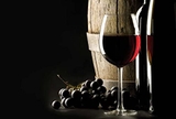 Tủ rượu vang Caso Wine Safe 12 black (khí nén bằng ga)