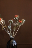 Bó hoa khô cúc dứa màu đỏ cam 60cm