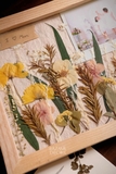 Khung ảnh hoa khô gỗ tần bì 20x30cm có thể thay ảnh | Quà tặng