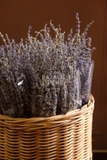 Bó hoa khô lavender 50gr 55cm| Oải hương