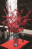 Set Bình hoa thủy tinh Simplicity cắm cành đông đào đỏ mix