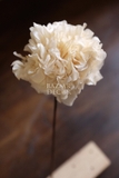 Cành hoa khô tú cầu mini | Cành kẽm 25cm