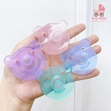 Ti giả chống vẩu hình gấu Avent