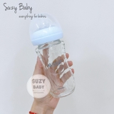 Bình sữa Avent thủy tinh 120ml/250ml