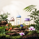 BỘ SƯU TẬP QUÀ TẶNG HEGEN PCTO™ FLORAL PURPLE