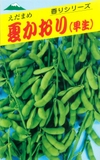 Giống Edamame vụ Xuân Hè