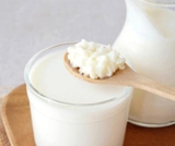 KEFIR YOGURT STARTER - ORGANIC ( Hạt Sữa Chua Kefir khởi động)