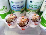 KEFIR YOGURT STARTER - ORGANIC ( Hạt Sữa Chua Kefir khởi động)