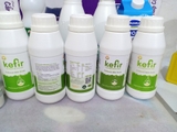 SỮA CHUA KEFIR UỐNG NGUYÊN CHẤT 500ML – THE KEFIR KING.