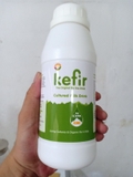 SỮA CHUA KEFIR UỐNG NGUYÊN CHẤT 500ML – THE KEFIR KING.