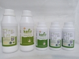 SỮA CHUA KEFIR UỐNG NGUYÊN CHẤT 250ML – THE KEFIR KING.