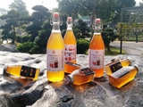 Trà KOMBUCHA GREEN TEA - Nguyên Chất Thô (chuyên dùng cho pha chế tại Nhà & Quán cà phê, quán bar, trà chanh, trà sữa)