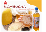 Combo SCOBY ORGANIC 3 món cho người mới làm trà Kombucha ( Gồm con Giống KOMBUCHA + Trà Đen + Đường Mía).
