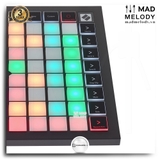 Novation Launchpad X 64-Pad MIDI Grid Controller (Bàn làm nhạc - trình diễn)