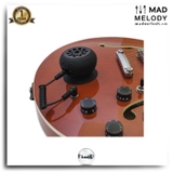 Fluid Audio Strum Buddy Electric Guitar Monitor/Amplifier (Bộ khuếch đại âm thanh guitar)