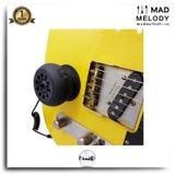 Fluid Audio Strum Buddy Electric Guitar Monitor/Amplifier (Bộ khuếch đại âm thanh guitar)