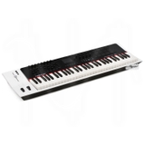 Nektar Panorama P6 61-Key USB MIDI Keyboard Controller