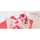 Mouse Logitech M238 Wireless Blue/Gray