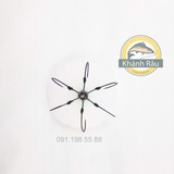 Lục 12 thường tì