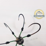 Lục 12 thường tì