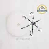 Lục 12 thường tì