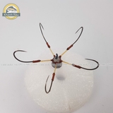 Lưỡi tì ngũ thép Thuỵ Điển 10 - 12