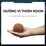 Mồi Câu Cá GUF Gấu Cá Diếc