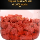 Hạt Xả Vua Câu Trắm Đen - Vị Tanh