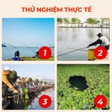 Hạt Xả Bamboo Cá Lớn