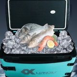 Thùng Câu Lianqiu 2021 LQ-221