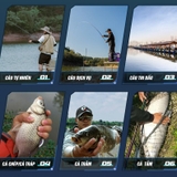 Cần tay Guide 911 Bản Tổng Hợp