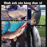 Trục Sẵn Săn hàng Guide Thánh Hỏa Lệnh