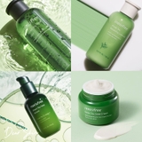 Innisfree Green Tea Special Kit Ex 4 items