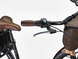Xe đạp thành phố Licorne Bike Stella Plus 26 inch