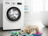 Máy giặt Bosch WAW28480SG | Series 8