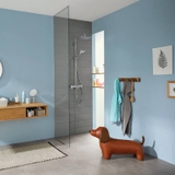 Sen cây Hansgrohe Croma E 280 27630000