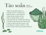 TẢO XOẮN BIO SPIRULINA