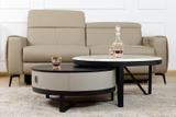 Bàn Sofa Đẹp Cao Cấp 139S