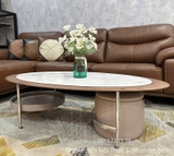 Bàn Trà Oval Mặt Đá Hiện Đại 419S