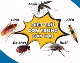 Diệt Côn Trùng
