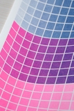 Bisexual Flag A3 Riso Print