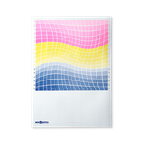 Pansexual Flag A3 Riso Print