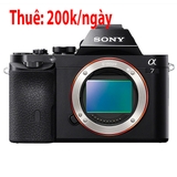 Dịch Vụ Cho Thuê - Body Sony A7