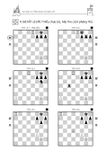 Combo 2 cuốn Chiếu hết trong cờ vua - đích đến của những hành trình, Tập 1 và 2