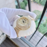 ĐỒNG HỒ NỮ BURGI CRYSTAL MESH BRACELET WATCH BUR051YG
