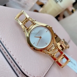 ĐỒNG HỒ NỮ CALVIN KLEIN CLASS WOMEN'S WATCH K6R23526