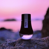 Mực Dominant Industry Standard Series Evening